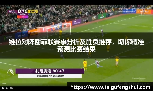 维拉对阵谢菲联赛事分析及胜负推荐，助你精准预测比赛结果