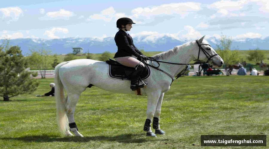 汇聚力量，追逐梦想！